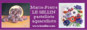 Marie Pierre Le Sellin