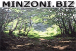 Minzoni